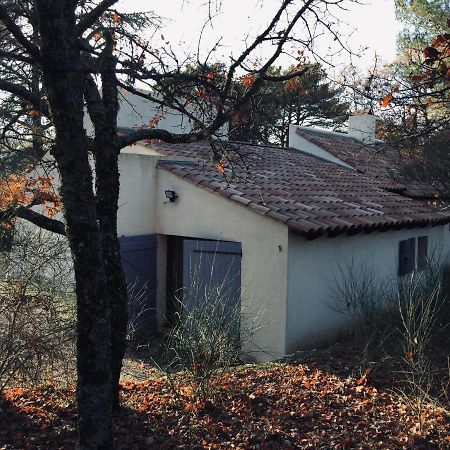 La Maison De Mado Et Sa Cabane Dans Les Arbres Plan d'Aups 외부 사진