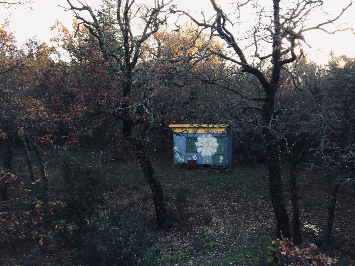 La Maison De Mado Et Sa Cabane Dans Les Arbres Plan d'Aups 외부 사진