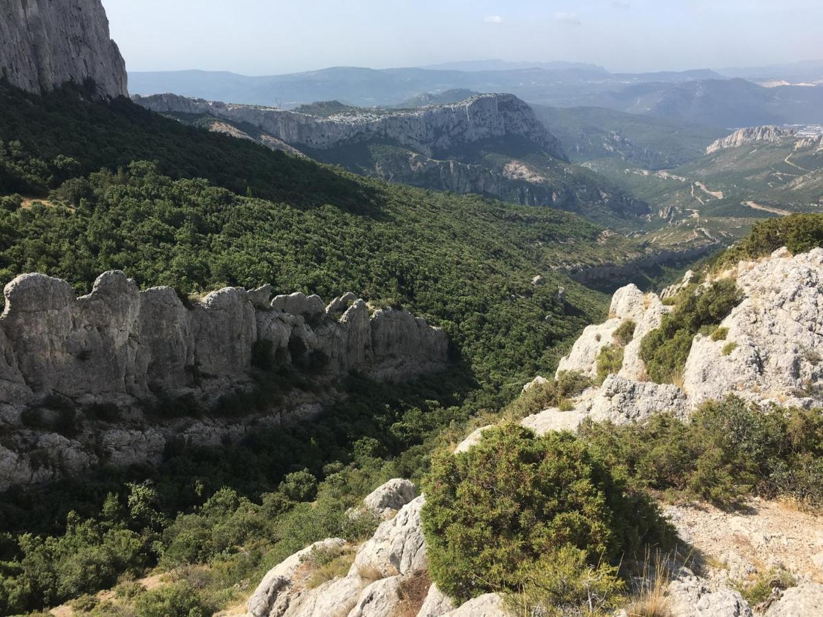 La Maison De Mado Et Sa Cabane Dans Les Arbres Plan d'Aups 외부 사진